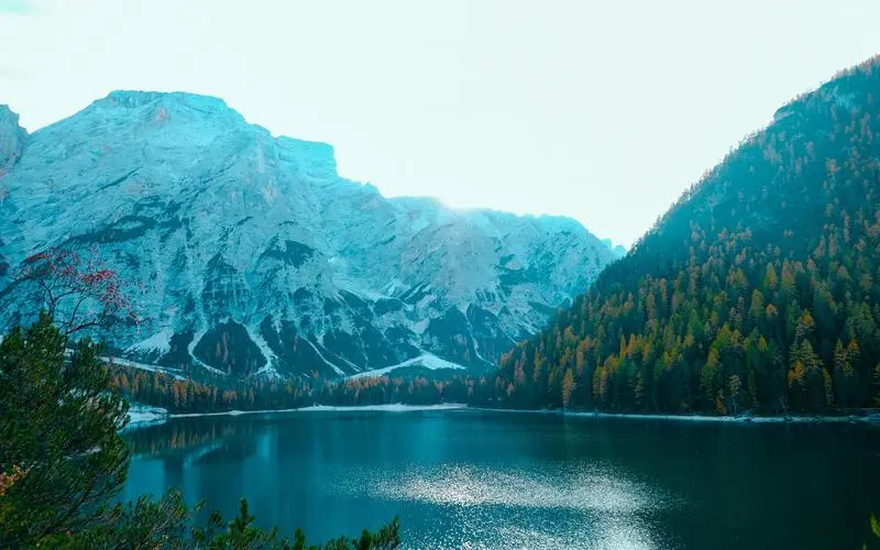 高质量稳定性